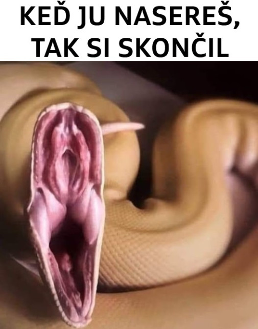 Podoba čisto náhodná